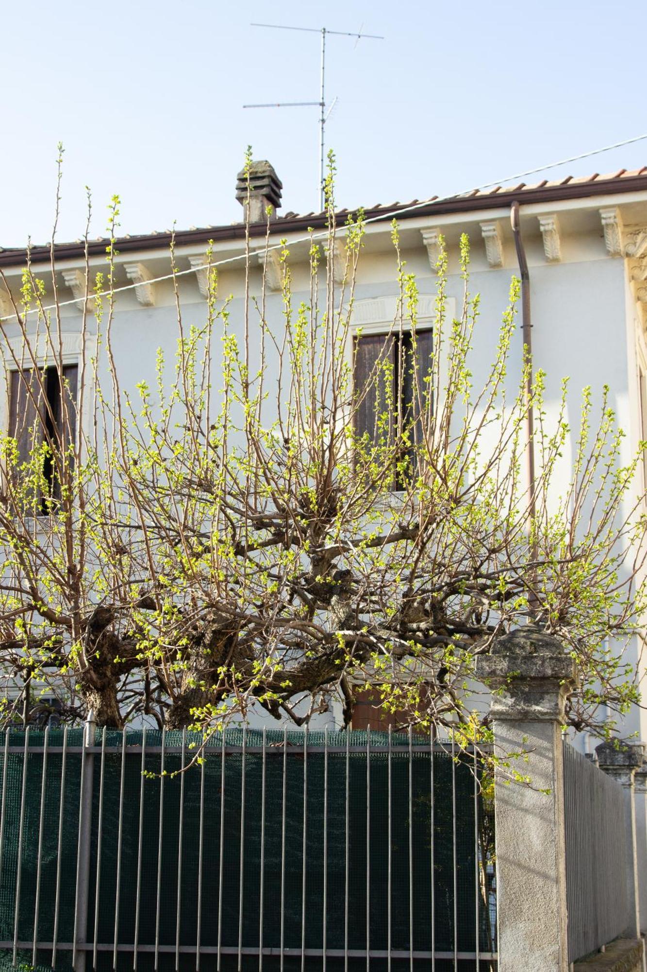 Verona Nest Zewnętrze zdjęcie